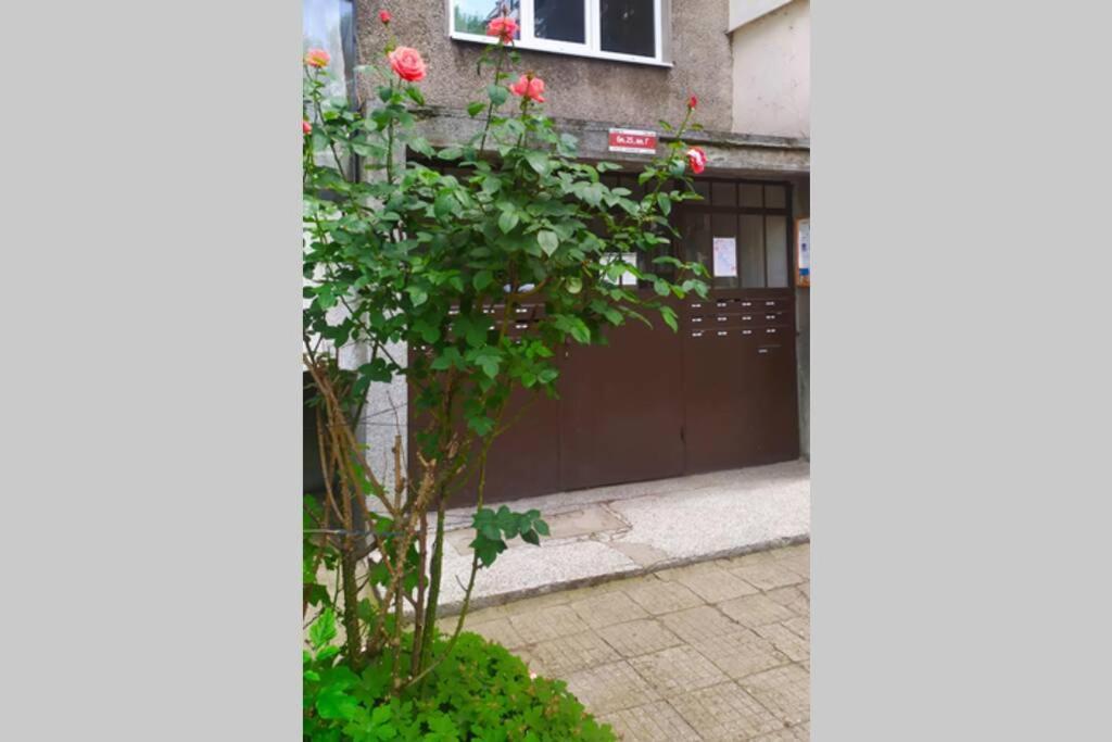 Lovely City Center 1Bd, 1Bt Apartment صوفيا المظهر الخارجي الصورة